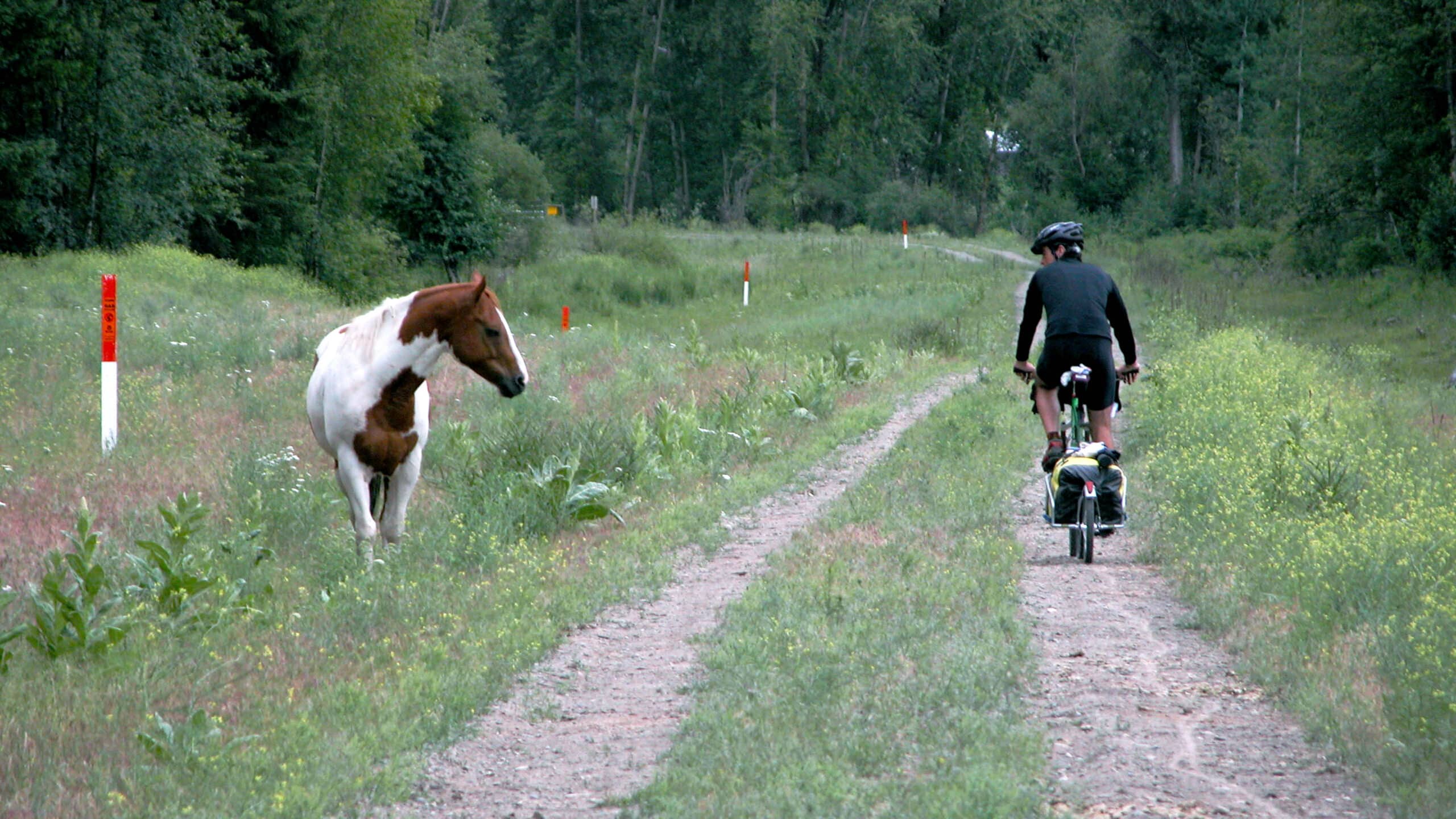 Kettle Valley Railway / Trans Canada Trail in the Beaverdell Area: McCulloch to Beaverdell