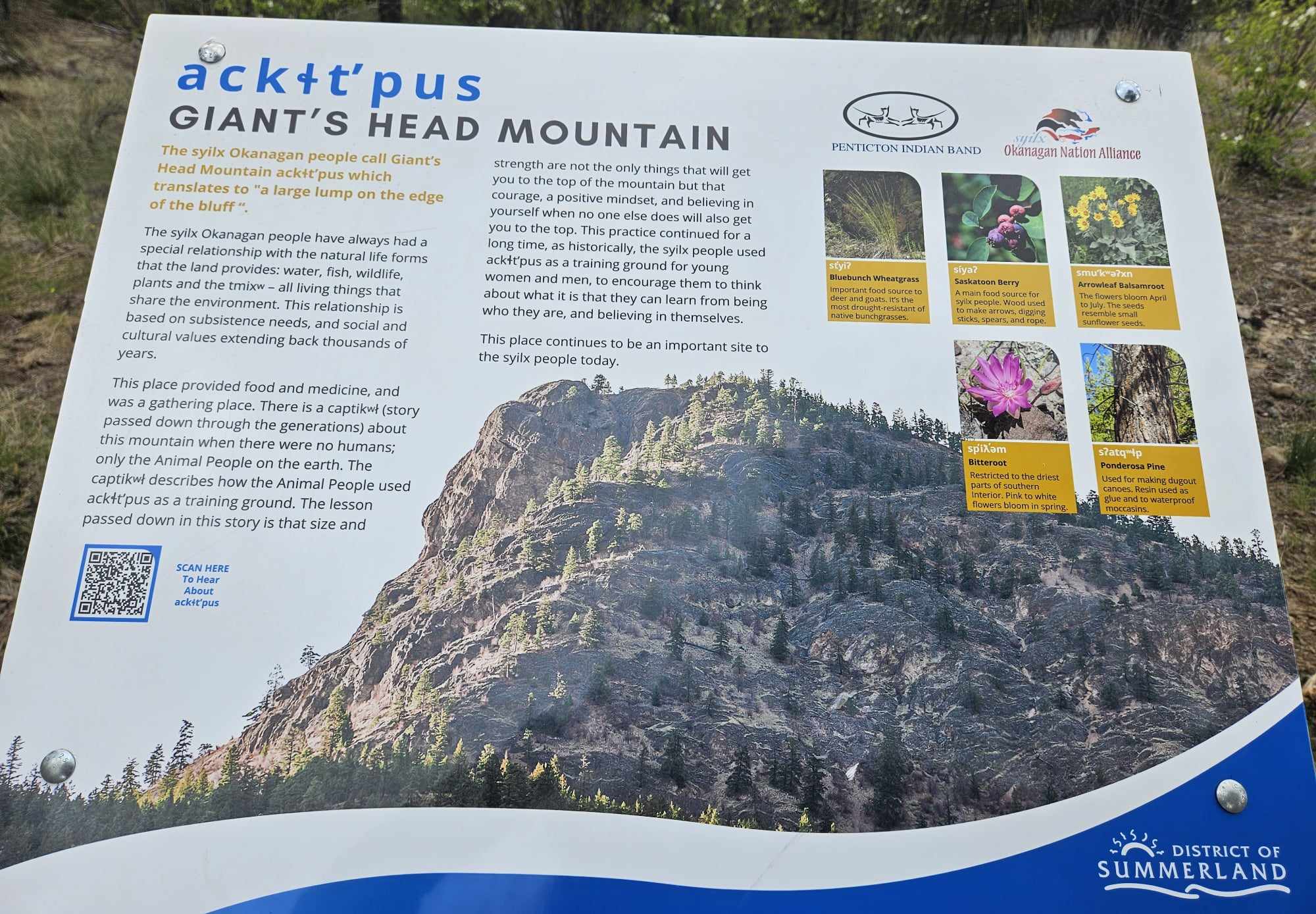 nsyilxcen signage on Giants Head