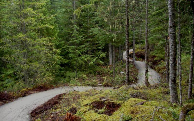 Trans Canada Trail from Squamish to Whistler: Sea to Sky Trail
