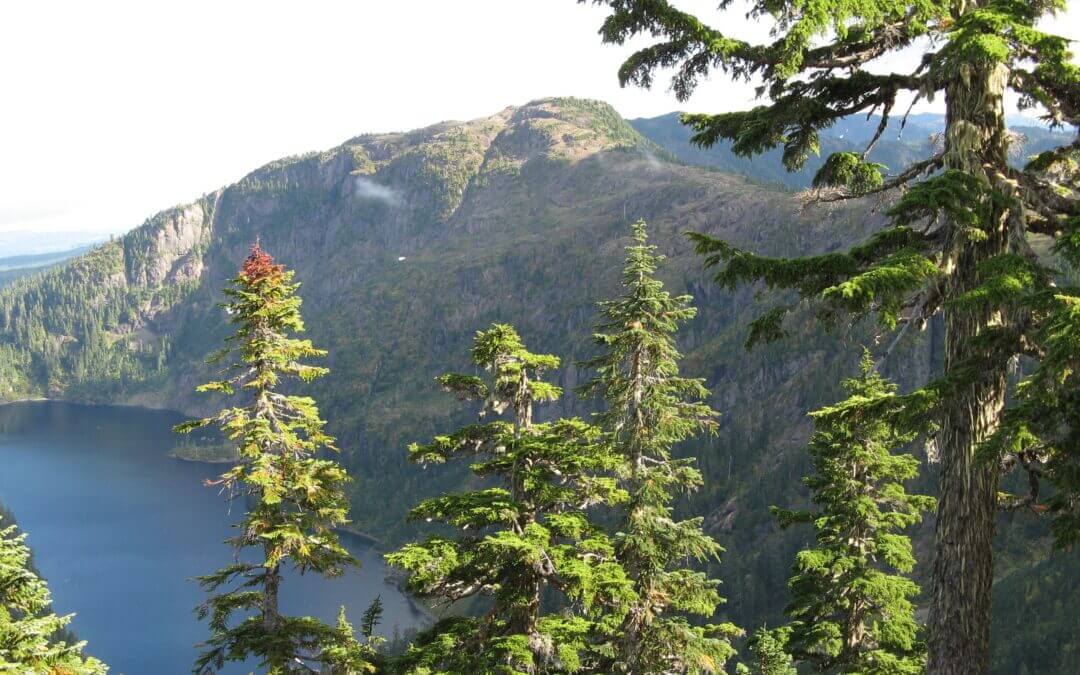 Vancouver Island Trail