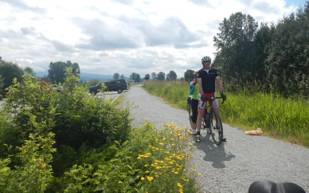 Pitt Meadows/Pitt Polder CYCLING TRAIL LOOP c42 & c43