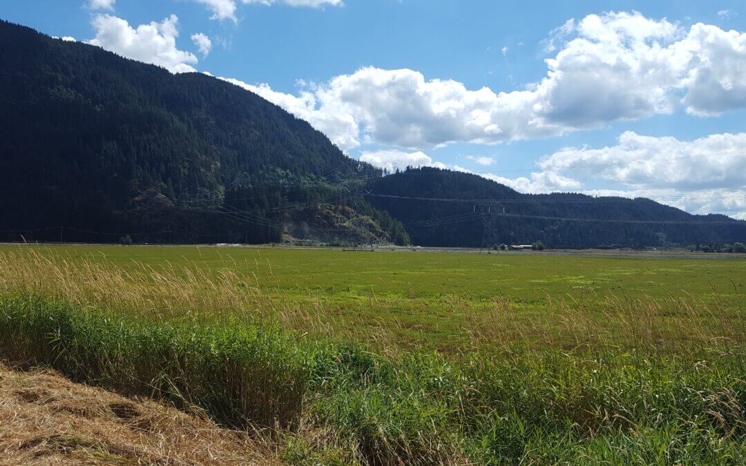 North Pitt Meadows CYCLING TRAIL LOOP c43