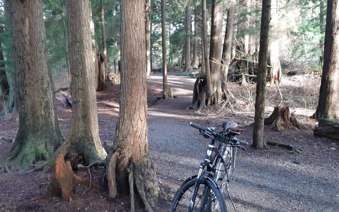 Town Centre Park-Coquitlam River WALKING/HIKING/CYCLING TRAIL LOOP w14