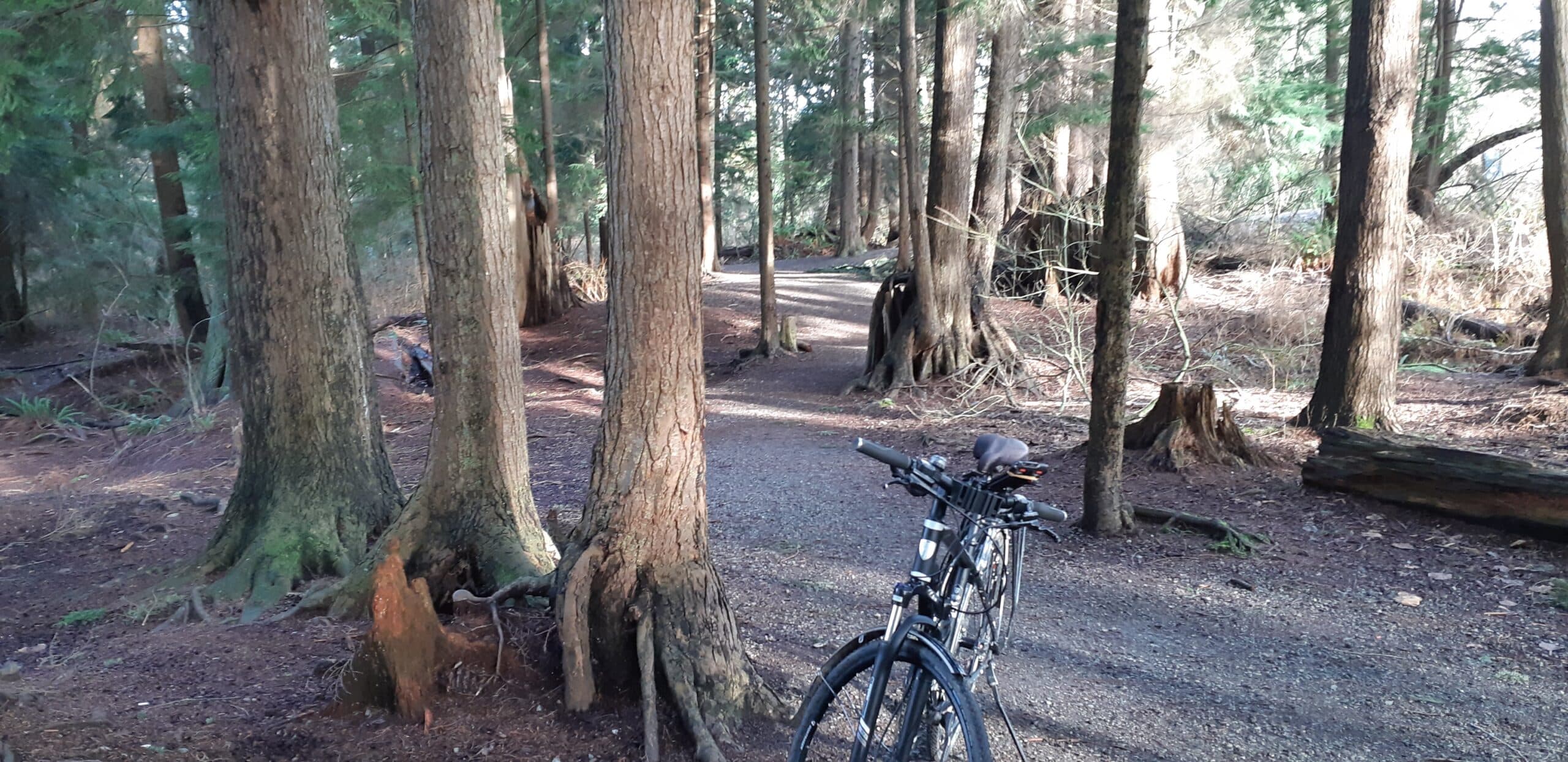 Town Centre Park-Coquitlam River WALKING/HIKING/CYCLING TRAIL LOOP w14