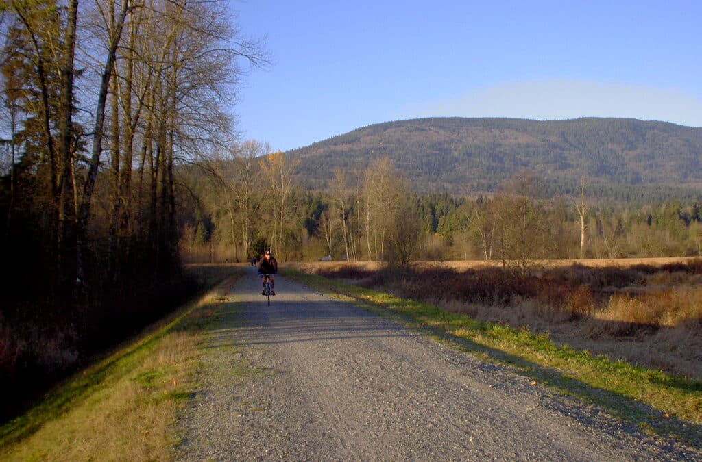 Port Coquitlam NE WALKING/HIKING/CYCLING TRAIL LOOP w16