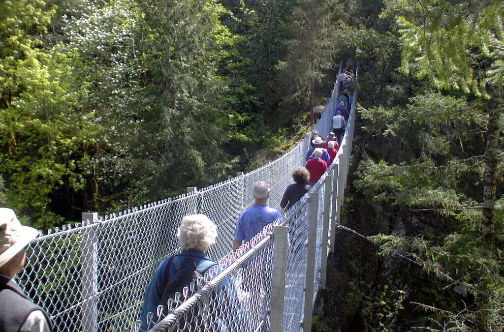 Chemainus to Haslam Creek Suspension Bridge t58