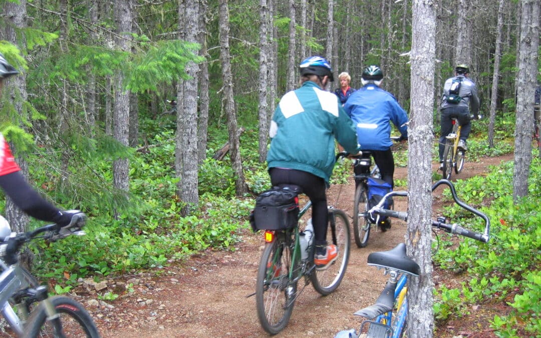 Chilliwack Lake to Thurston Rec Site T73