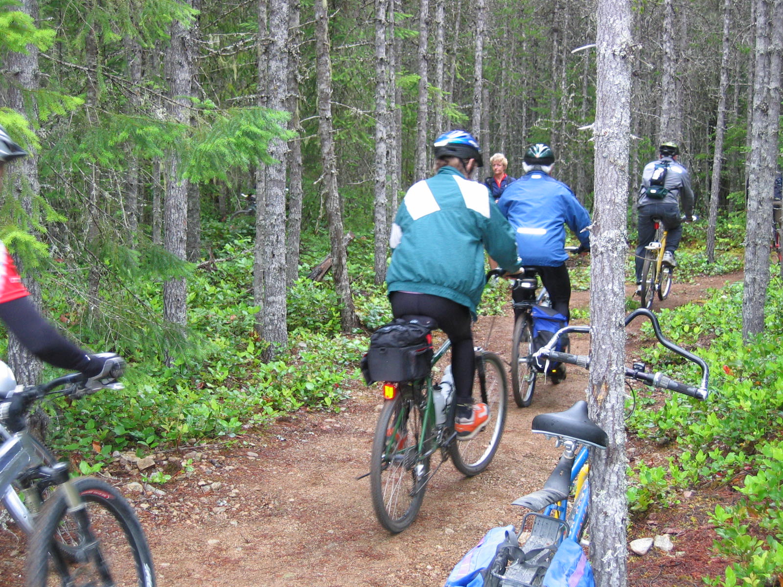 Chilliwack Lake to Thurston Rec Site T73