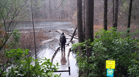 Whyte Lake WALKING/HIKING TRAIL LOOP w6b