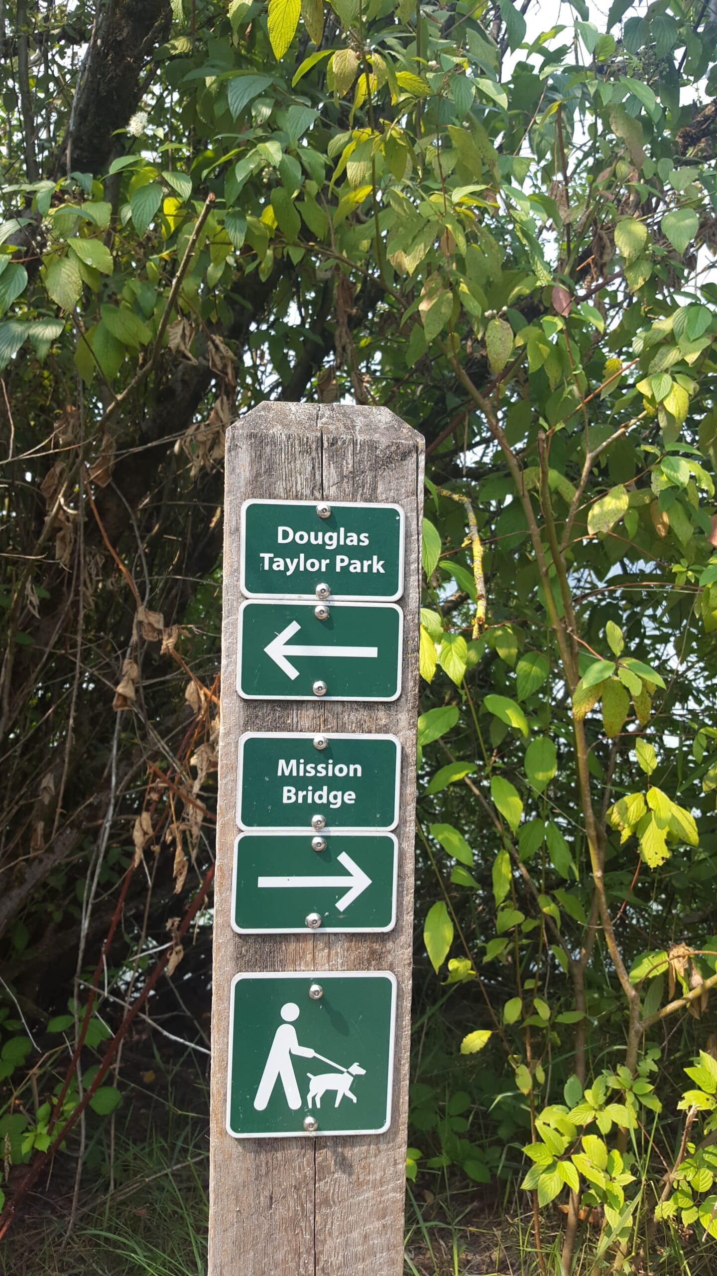 Kwantlen Cycle Journey: Dewdney to Glen Valley