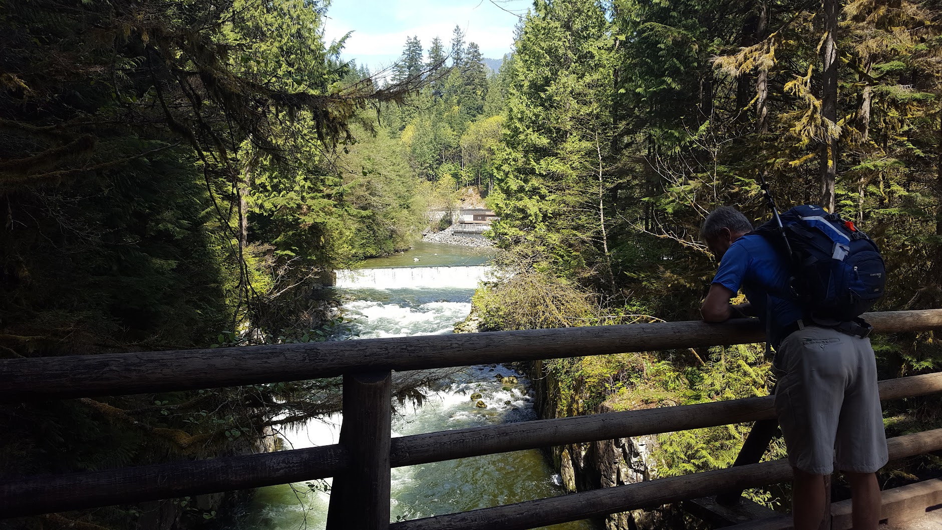 Lynn-Rice Lake-Seymour WALKING/HIKING TRAIL LOOP w26