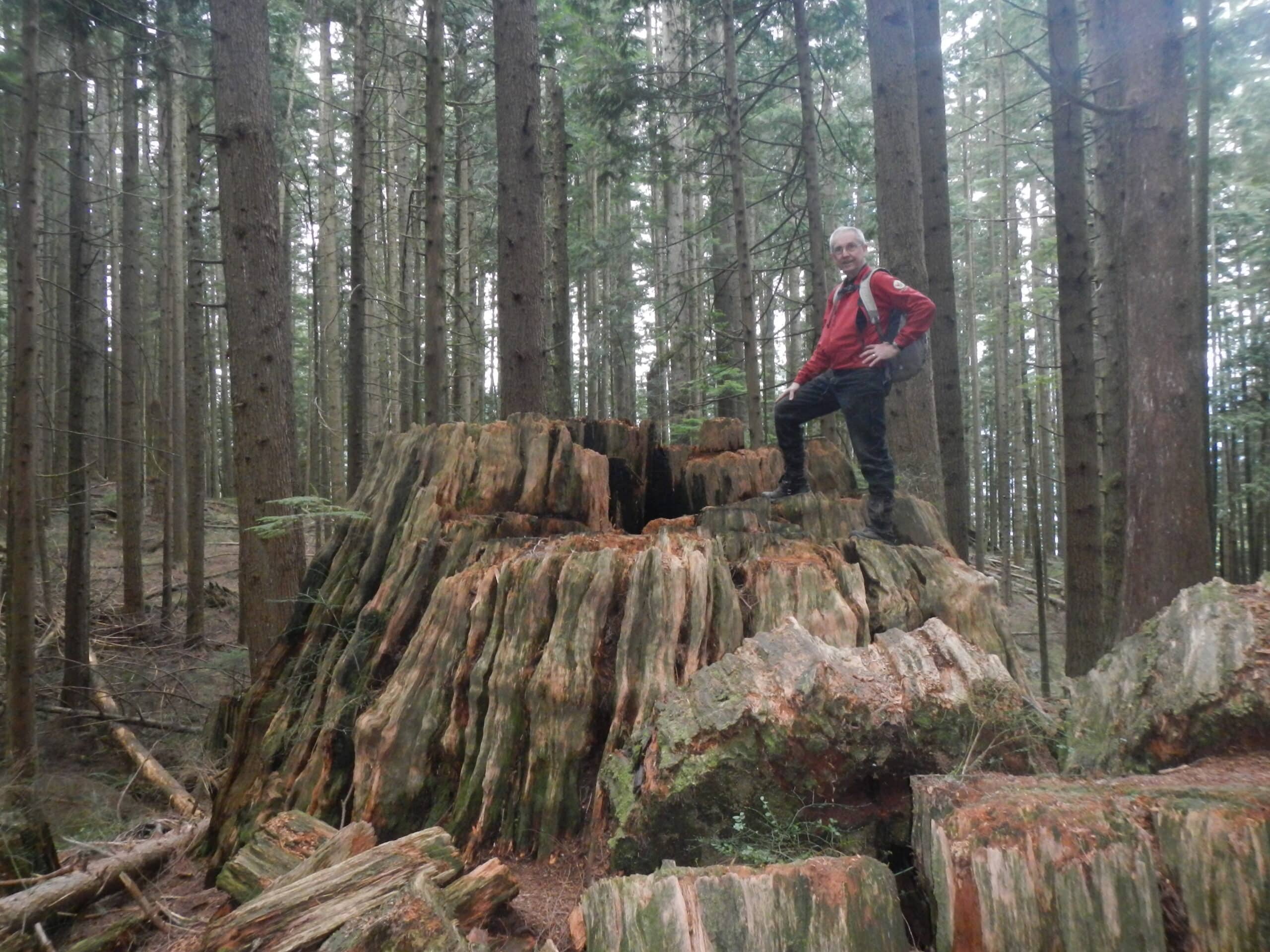 Crystal Falls-Burke Mountain Village Community WALKING/HIKING TRAIL LOOP W27