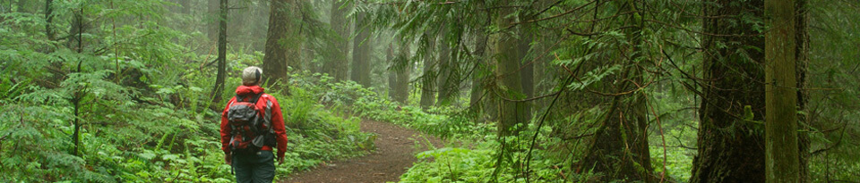 Newcastle Island WALKING/HIKING TRAIL LOOP w5