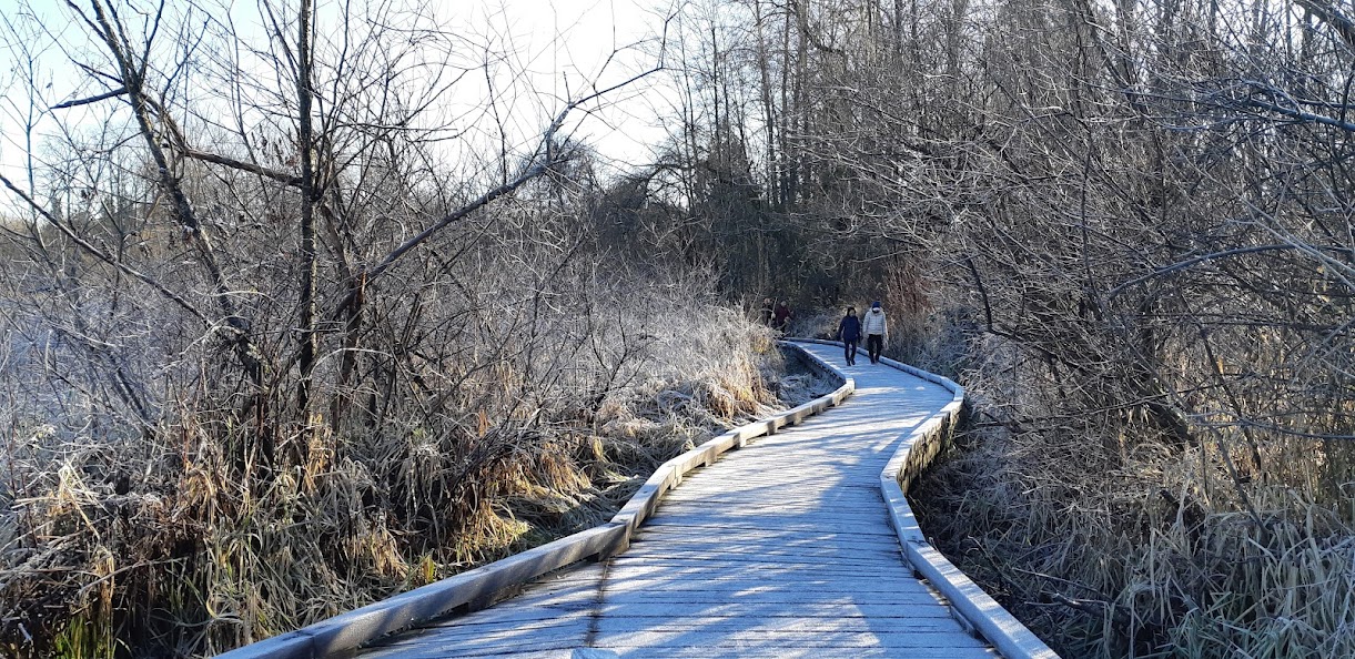 Burnaby Lake Regional Park Walk/Hiking Loop