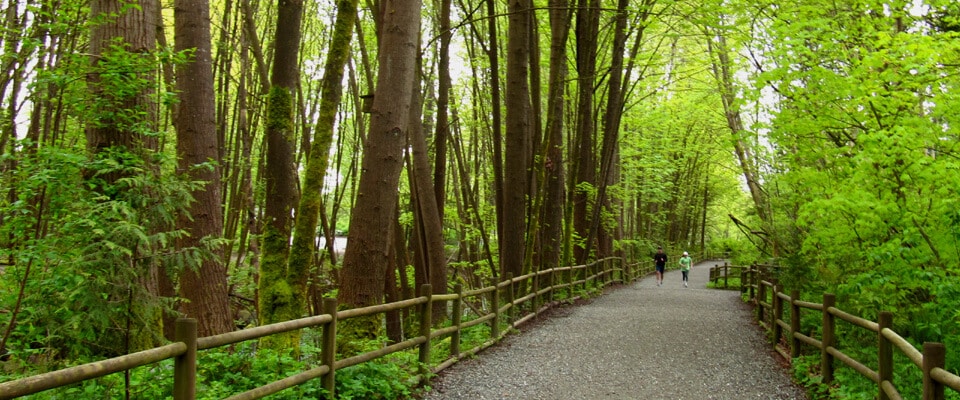 North Vancouver WALKING/HIKING/CYClING TRAIL LOOP w7