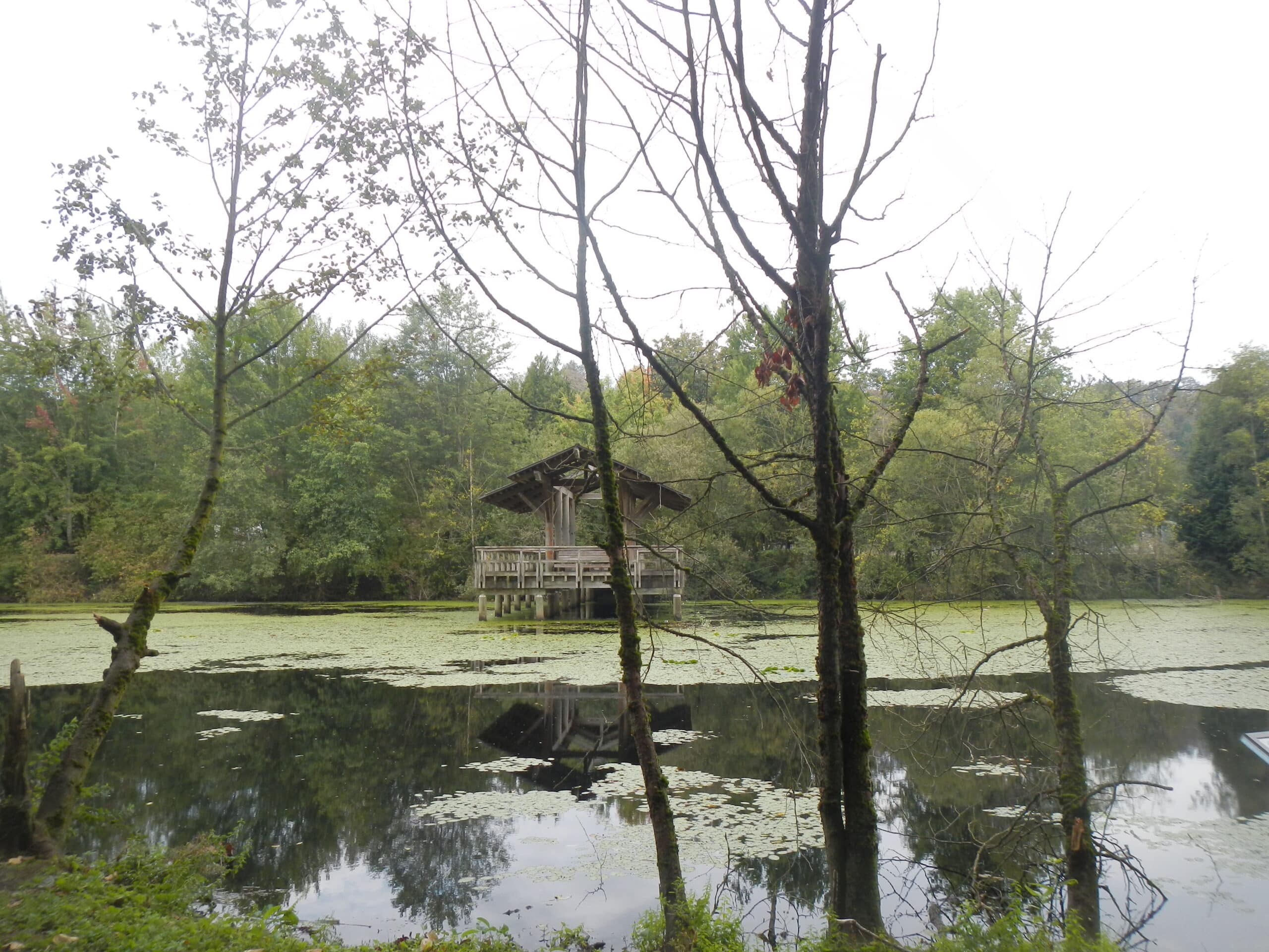 Abbotsford West Discovery Trail WALKING/HIKING TRAIL LOOP w21