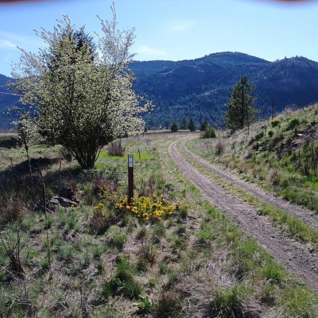 Midway to Grand Forks. Columbia & Western Railway / Trans Canada Trail in the Greenwood Area