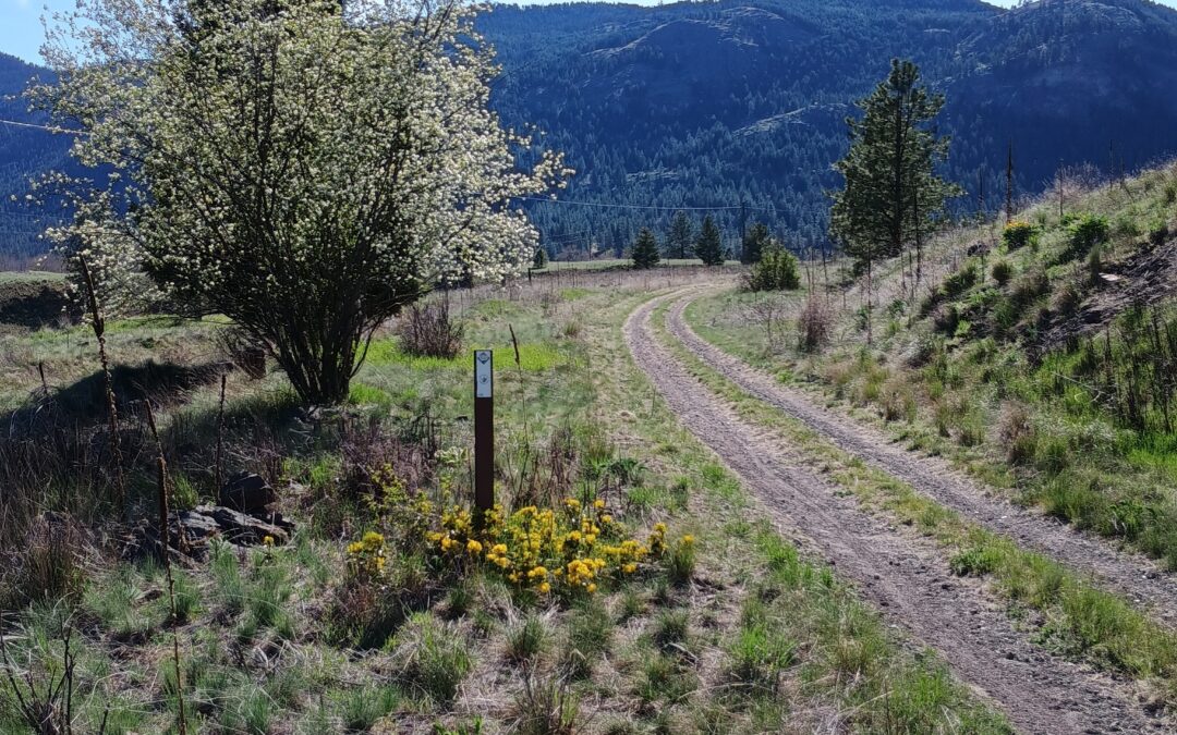 Midway to Grand Forks. Columbia & Western Railway / Trans Canada Trail in the Greenwood Area