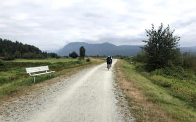 Trails BC adopts position statement on motorized off-road vehicles